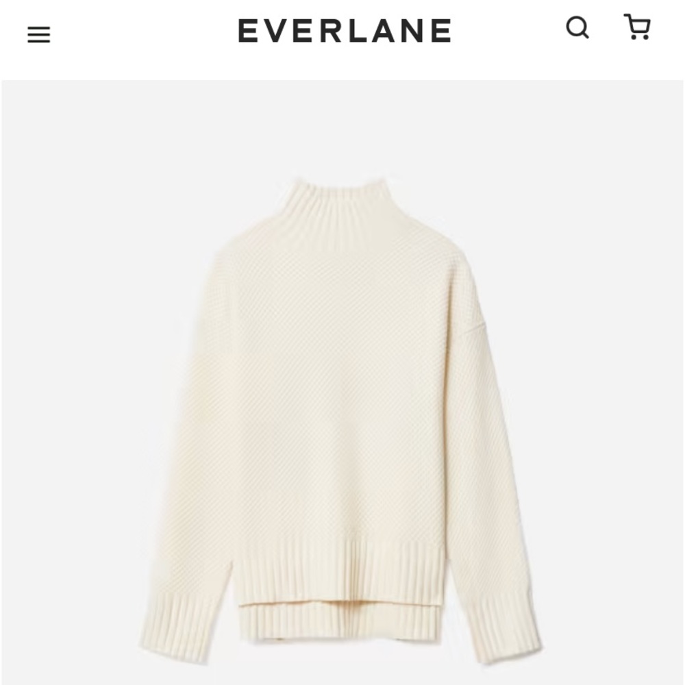 Everlane Stoopwaffel Cashmere Turtleneck